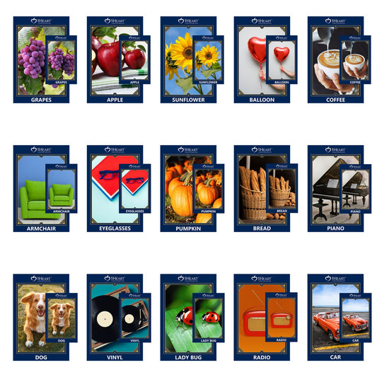 Memory Game Cards